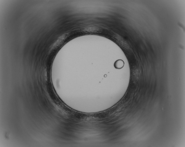 X0000092100734200709121109