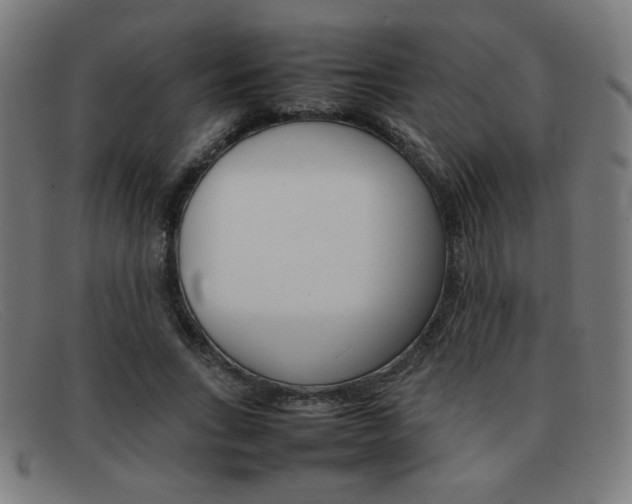X0000092100735200709121109