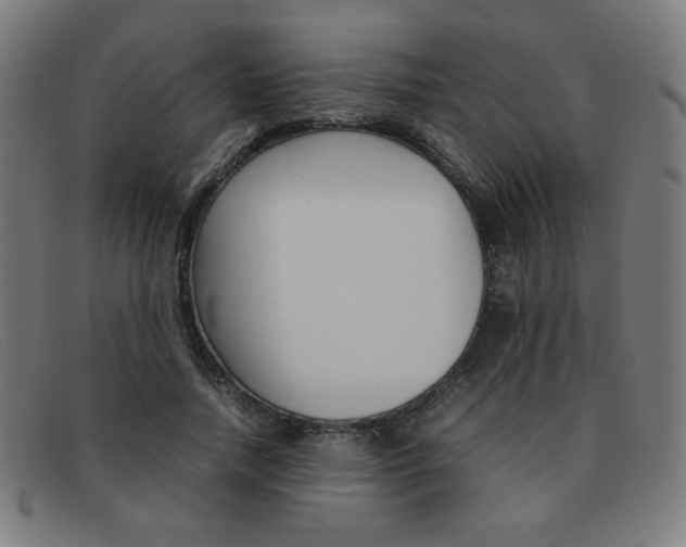 X0000092100738200709121109