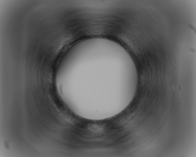 X0000092100739200709121109