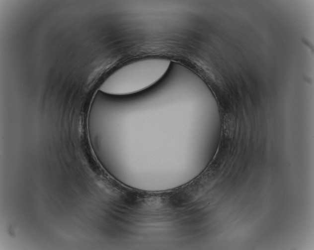 X0000092100740200709121109