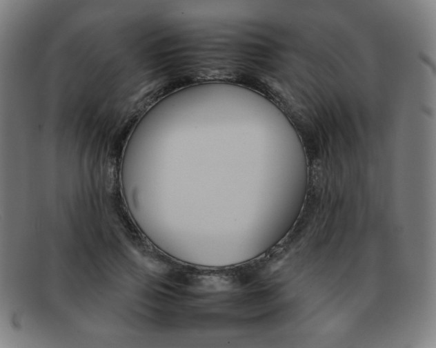 X0000092100741200709121109