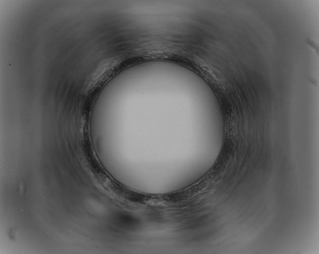 X0000092100742200709121109