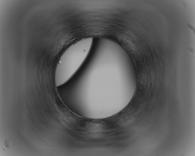 X0000092100743200709121109