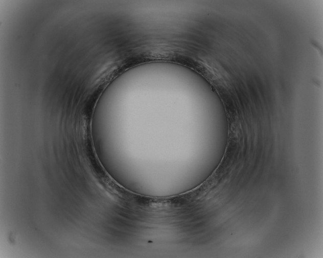 X0000092100744200709121109