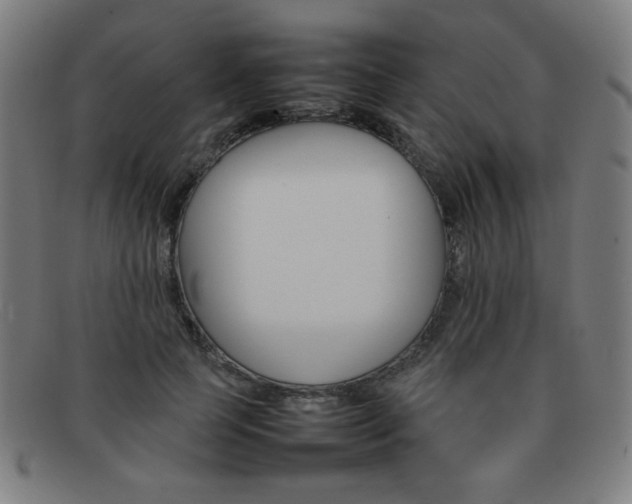 X0000092100745200709121109