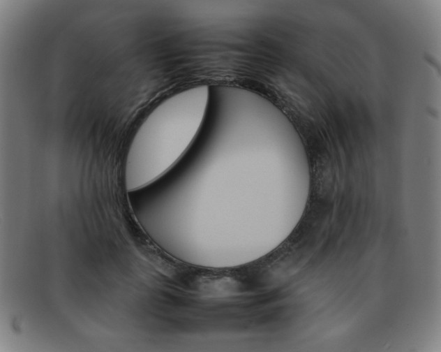 X0000092100747200709121109