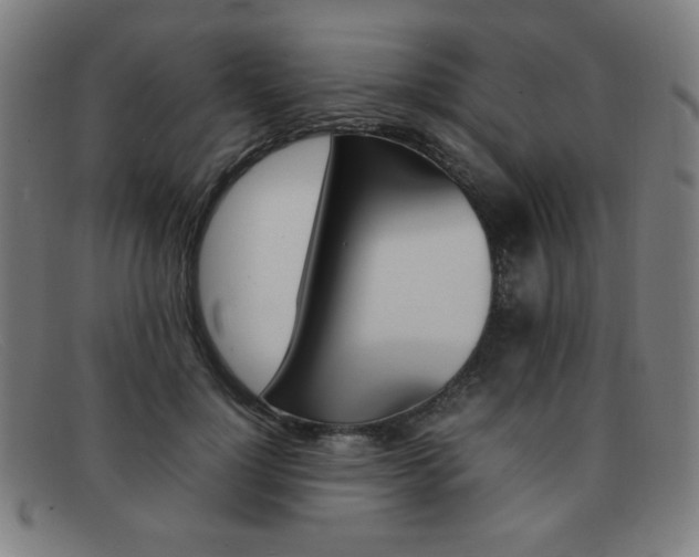 X0000092100748200709121109