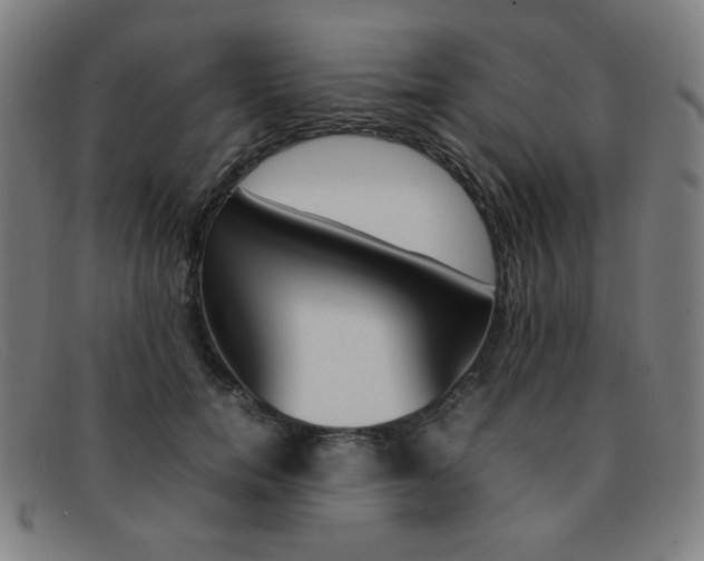 X0000092100750200709121109