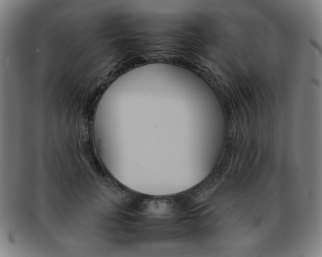 X0000092100751200709121109