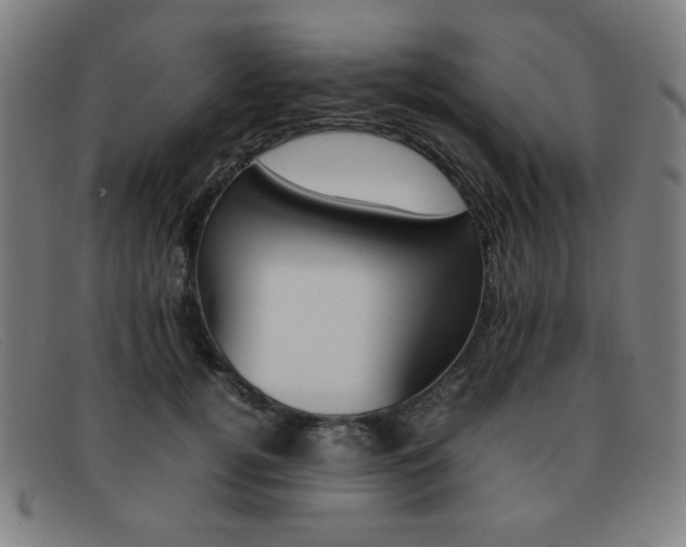 X0000092100752200709121109