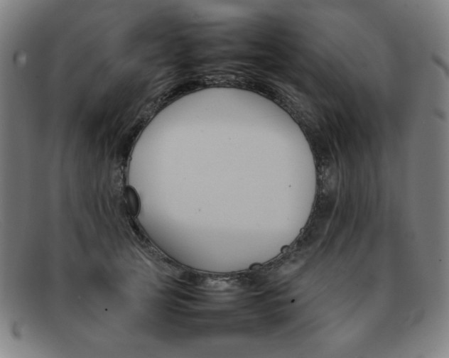 X0000092100753200709121109