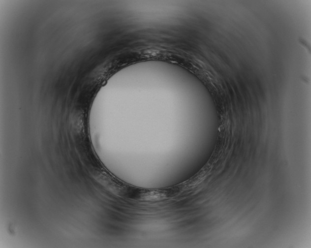 X0000092100754200709121109