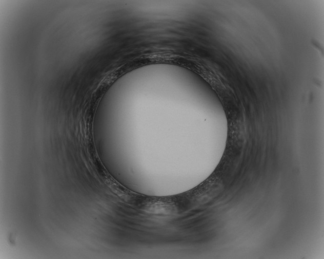 X0000092100755200709121109