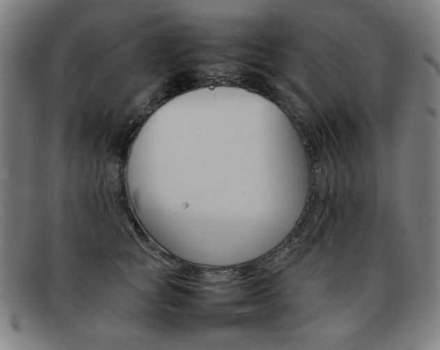 X0000092100757200709121109