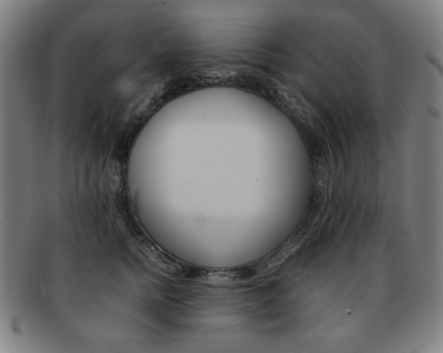 X0000092100758200709121109