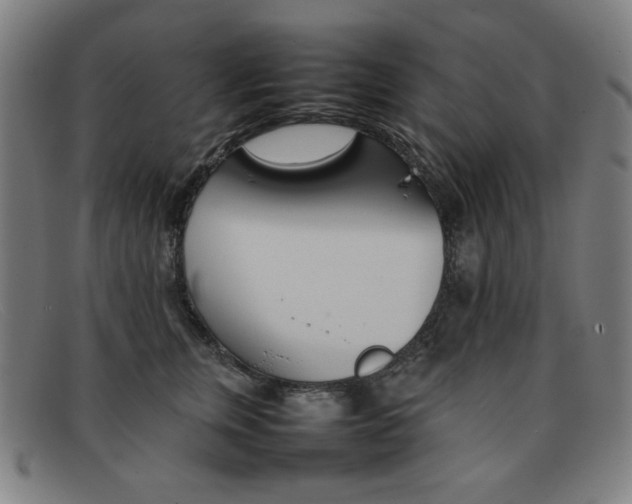 X0000092100759200709121109