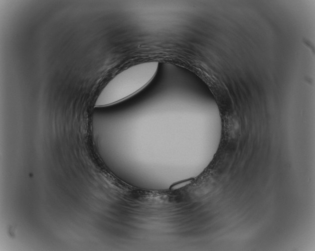 X0000092100760200709121109