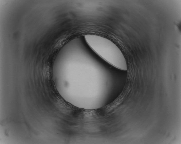 X0000092100762200709121109
