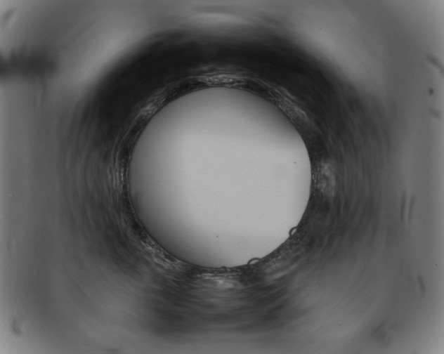 X0000092100763200709121109