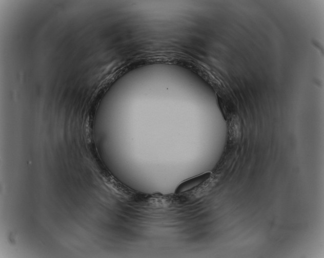 X0000092100764200709121109