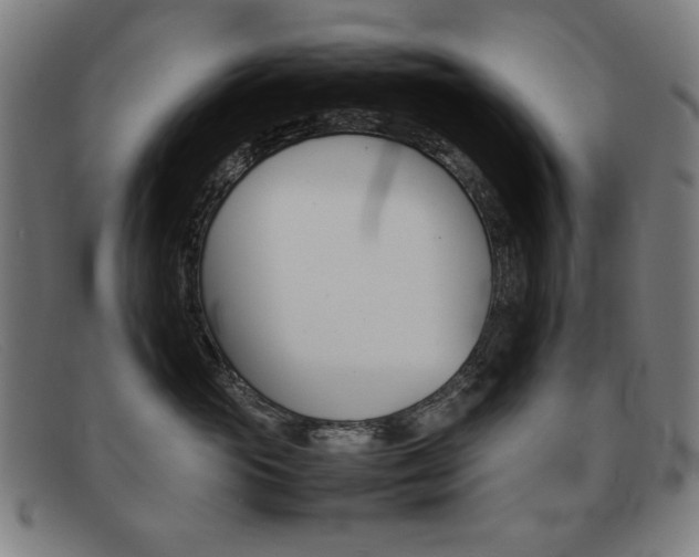 X0000092100765200709121109