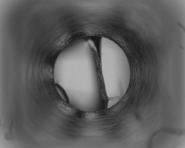X0000092100766200709121109