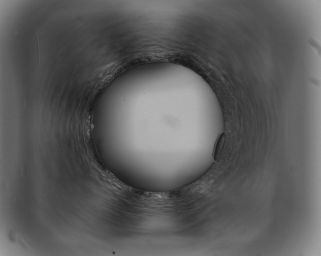 X0000092100768200709121109