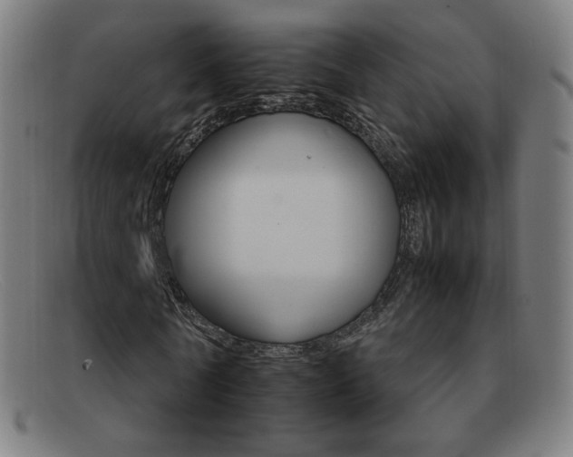 X0000092100770200709121109