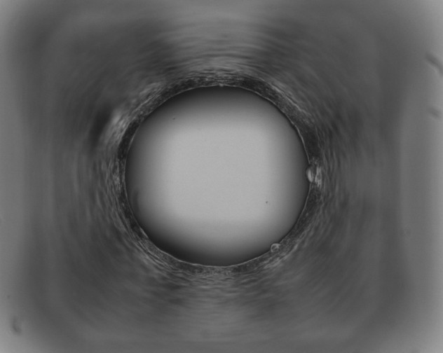 X0000092100771200709121109