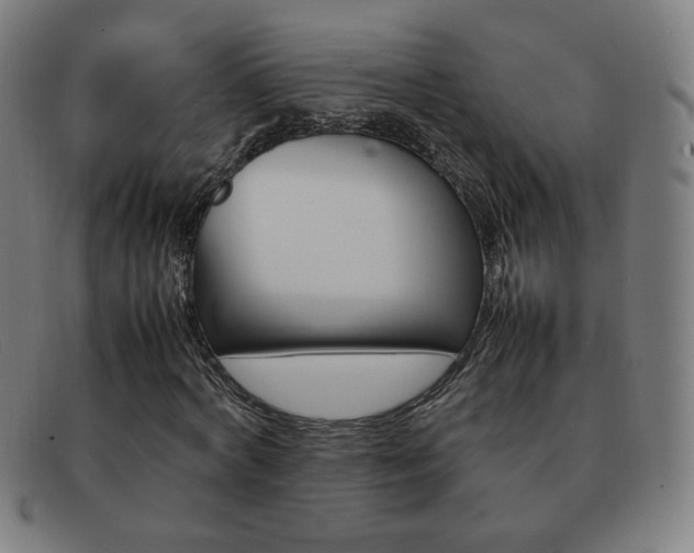 X0000092100772200709121109