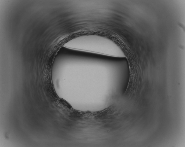 X0000092100773200709121109