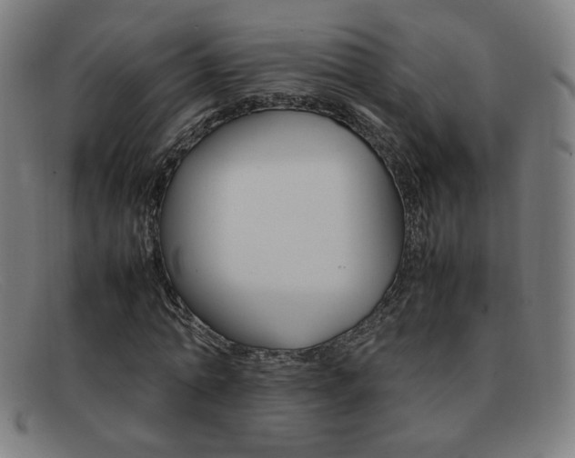 X0000092100774200709121109
