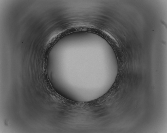 X0000092100775200709121108
