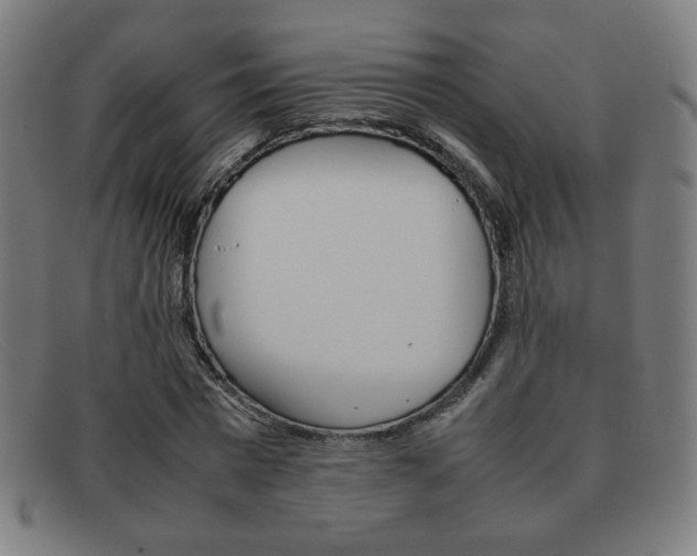 X0000092100777200709121108