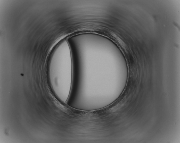 X0000092100779200709121108