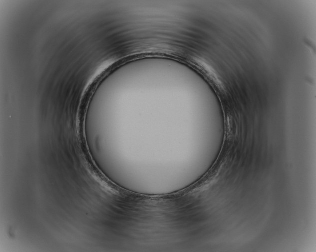 X0000092100780200709121108