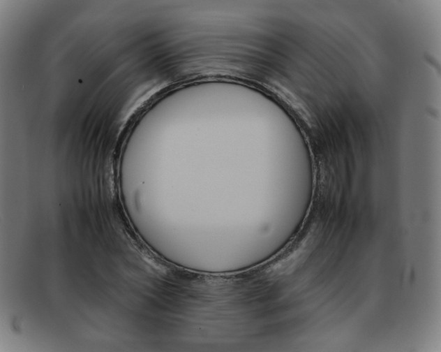 X0000092100782200709121108