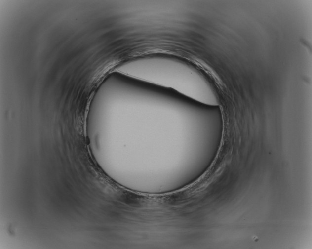 X0000092100785200709121108