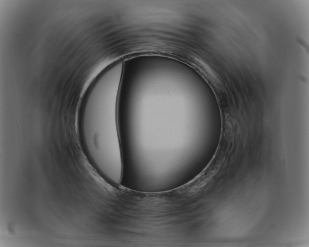 X0000092100788200709121108