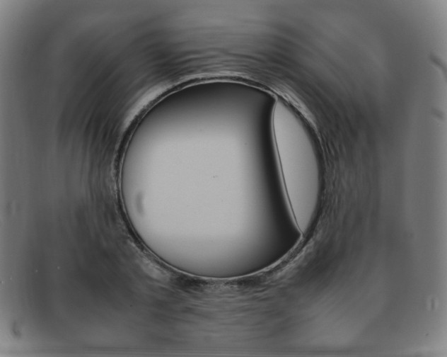 X0000092100789200709121108