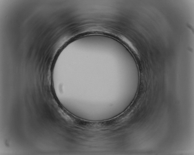 X0000092100791200709121108