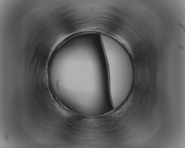 X0000092100792200709121108