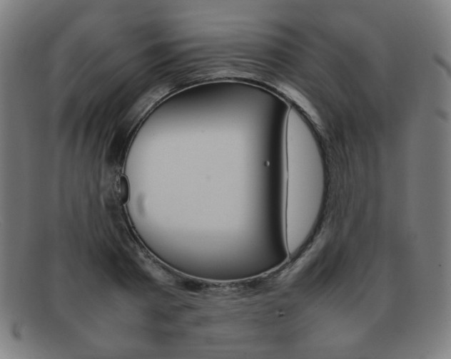 X0000092100793200709121108