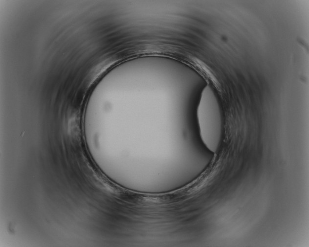 X0000092100794200709121108