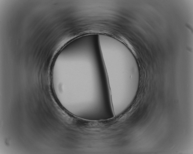 X0000092100795200709121108