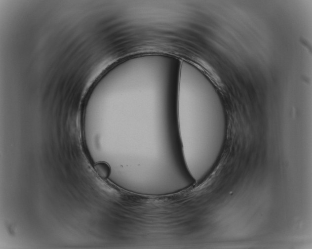 X0000092100796200709121108