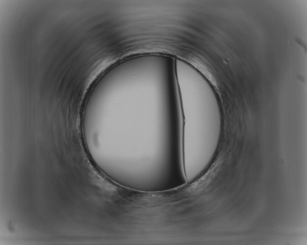 X0000092100797200709121108