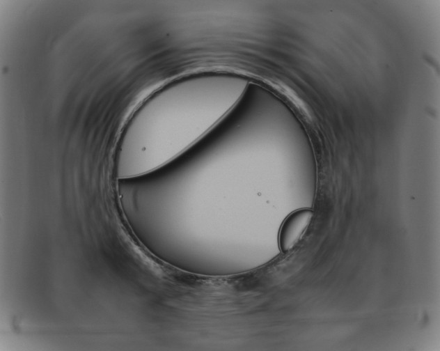 X0000092100799200709121108