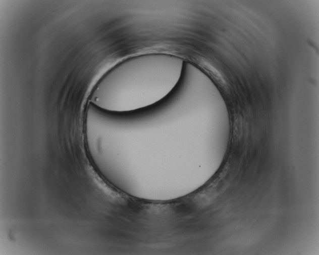 X0000092100800200709121108